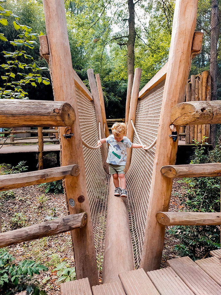 ZooParc Overloon with kids