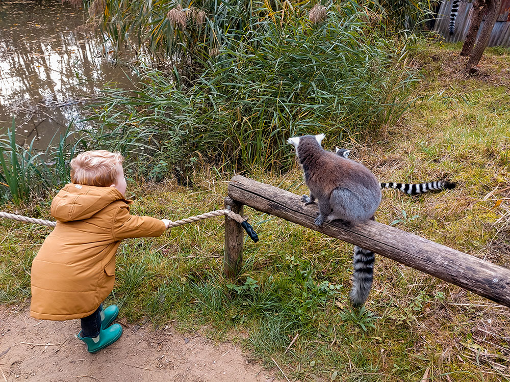ZooParc Overloon with kids