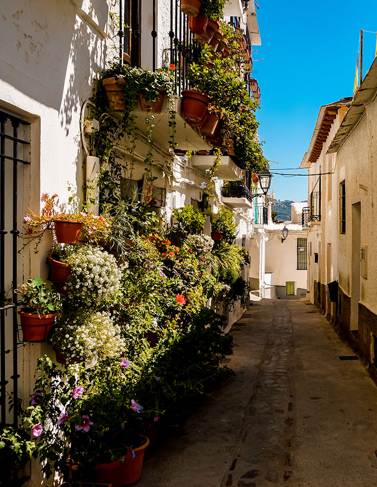 Granada sights + things to do with children and kids