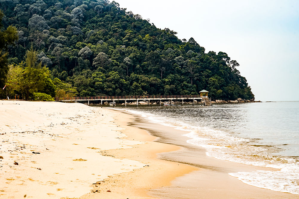 Attractions and things to do with kids children in Penang Island, Malaysia