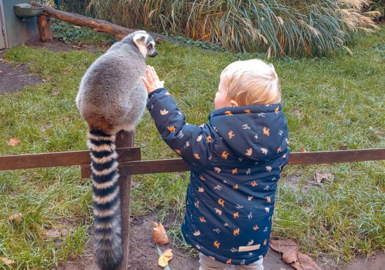 things to do with kids in winter activities for kids and families