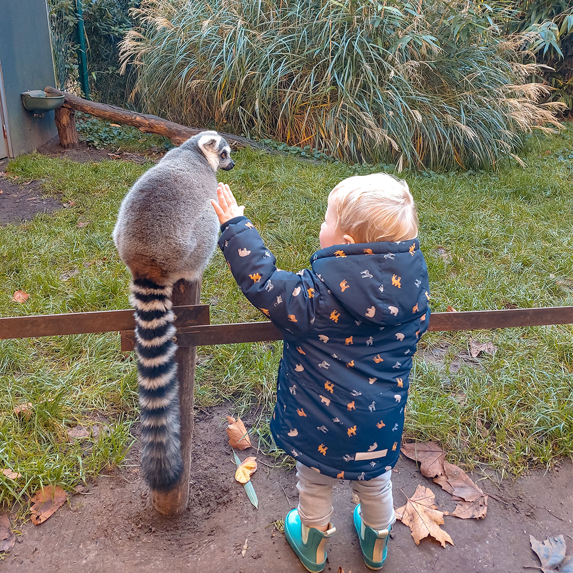 winter activities list for kids children