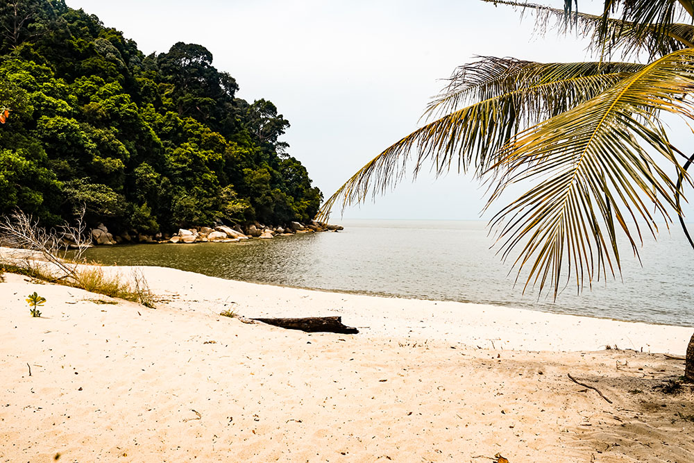 Attractions and things to do with kids children in Penang Island, Malaysia