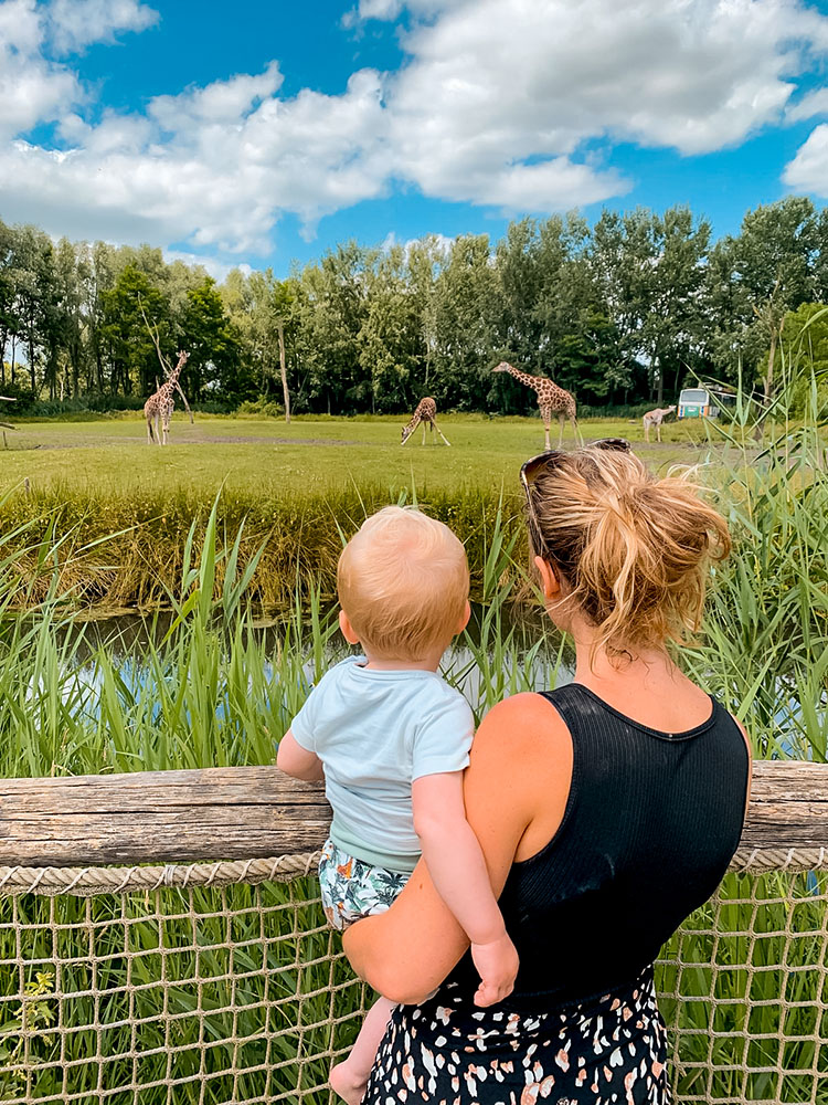 spring activities for kids: things to do in spring with kids