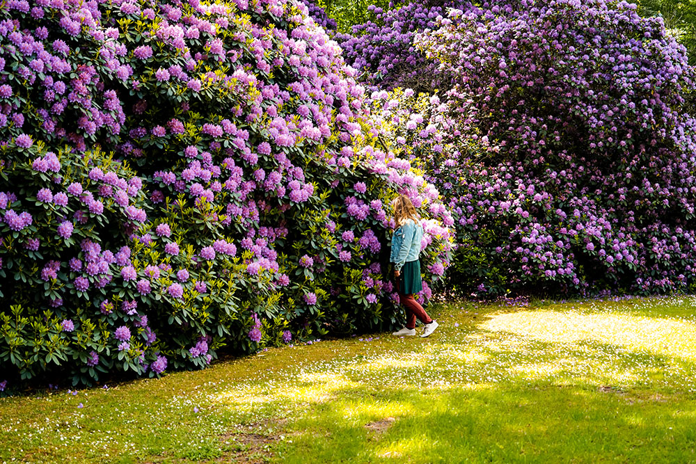 spring activities for kids: things to do in spring with kids