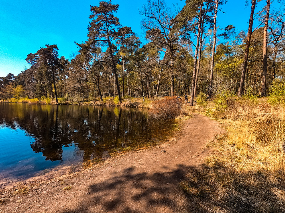 spring activities for kids: things to do in spring with kids